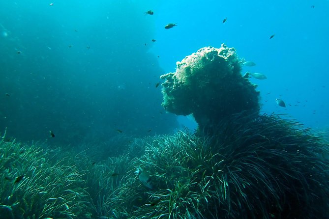 Baptism of diving from boat - Starting Point at Santa Polas Dive Center
