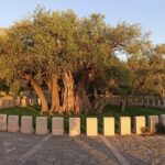 Bar, Montenegro: Shore Excursion with Skadar Lake Cruise - Scenic Drive Through Sutorman Mountain Pass and King Krstos Castle