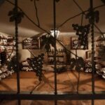 Barbaresco and Barolo Tasting at Cantina Francone - Visiting Cantina Francone’s Family Museum and Cellars