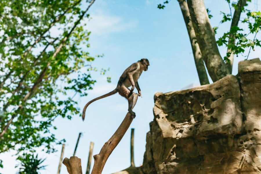 Barcelona: 1-Day Ticket to Barcelona Zoo - The Location and How to Find It