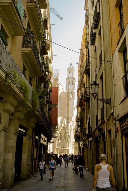 Barcelona: 4-hour Private Guided Walking Tour - Starting at Paseo de Gracia and Avenida Diagonal