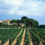 Barcelona Airport, Cuise Port or City Hotels Private Transfer - Reliable Pickup at Hotel, Airport, or Cruise Port