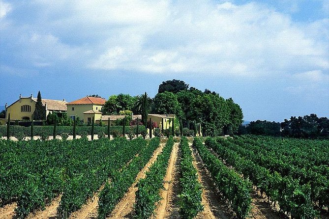 Barcelona Airport, Cuise Port or City Hotels Private Transfer - Reliable Pickup at Hotel, Airport, or Cruise Port