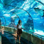 Barcelona Aquarium: Entry Ticket - The Location of Barcelona Aquarium in Port Vell