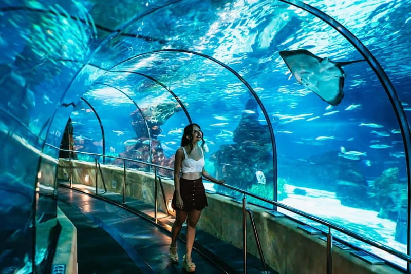 Barcelona Aquarium: Entry Ticket - The Location of Barcelona Aquarium in Port Vell