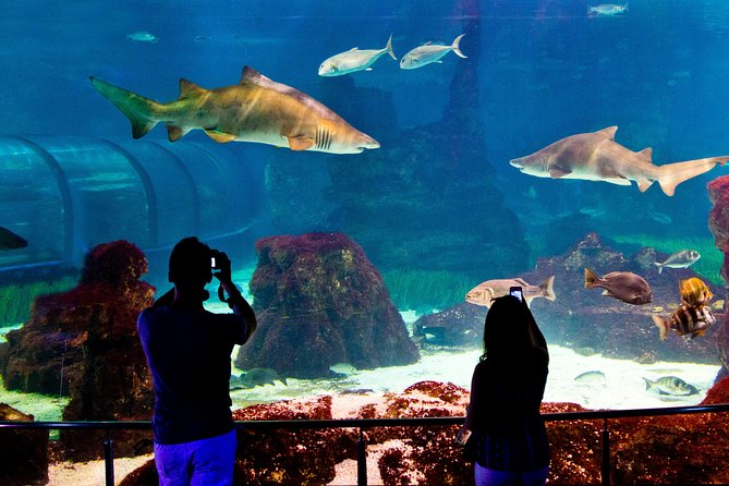 Barcelona Aquarium Skip the Line Ticket - What Marine Life Will You See?