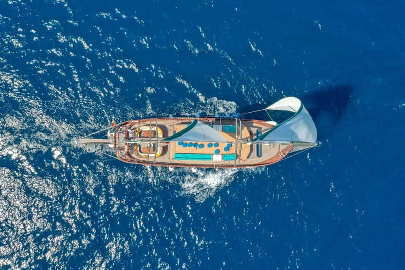 Barcelona: Boat and Supercar Driving Experience - Starting Point Near Barceloneta and Easy Access to the City