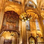 Barcelona Cathedral: Ticket, Guided Tour, Terrace + VR Experience - Introduction to the Barcelona Cathedral Tour