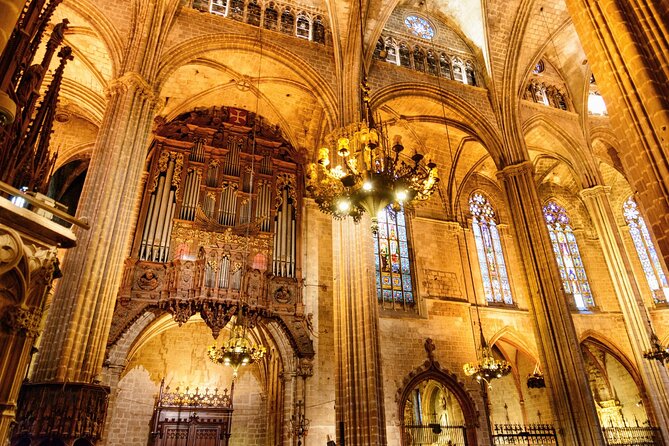 Barcelona Cathedral: Ticket, Guided Tour, Terrace + VR Experience - Introduction to the Barcelona Cathedral Tour