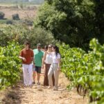 Barcelona: Cavas Hill - Winery Tour & Cheese Tasting - Convenient Location Amidst Natural and Urban Landmarks