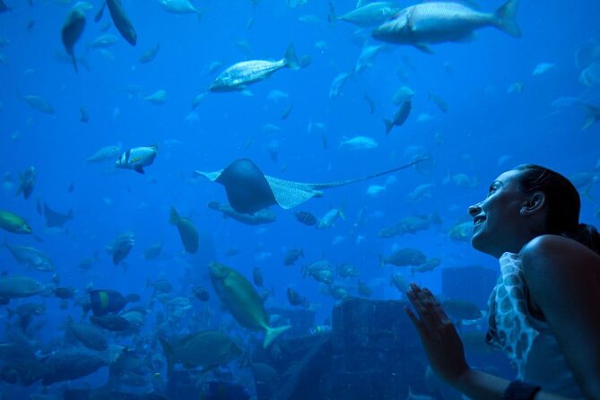 Barcelona City Tour Hop-On Hop-Off and Aquarium - Start at CatalunyaEixample with Bright Red Double-Decker Buses