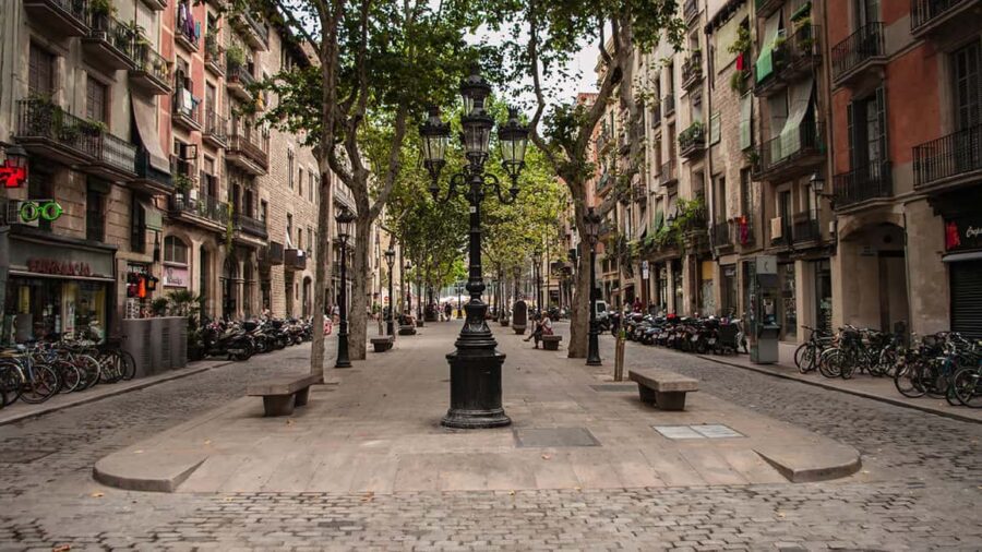 Barcelona: El Born Guided Walking Tour with Picasso Museum - Starting Point in the Heart of El Born