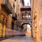 Barcelona Gothic Quarter Private Walking Tour - Starting Point at the Passeig de Colom