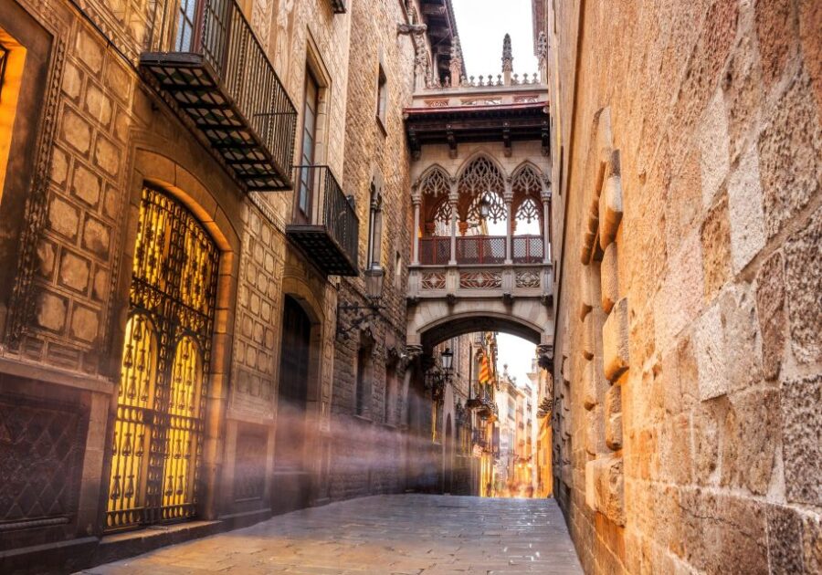 Barcelona Gothic Quarter Private Walking Tour - Starting Point at the Passeig de Colom