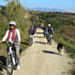 Barcelona: Guided Half-Day Wine and Electric Bike Tour - Cycling Amongst the Vineyards of Penedés
