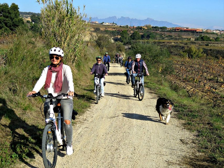Barcelona: Guided Half-Day Wine and Electric Bike Tour - Cycling Amongst the Vineyards of Penedés