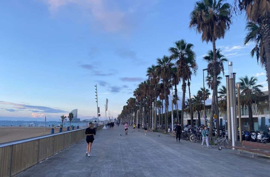 Barcelona: Guided Running Tour with Rooftop Drink - Starting Point and Pickup Details in Barcelona