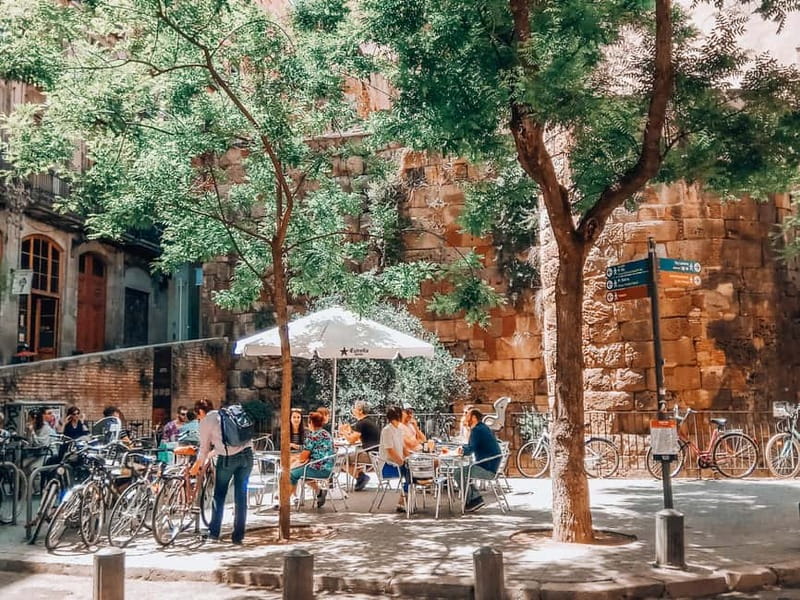 Barcelona: Introduction to the Gothic Quarter Walking Tour - Highlights of the Gothic Quarter’s 2,000-Year History