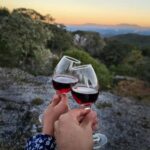 Barcelona: Montjuïc Tour with a glass of Wine - Key Points