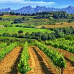 Barcelona: Montserrtat Hike and Winery Tour with Tasting - Scenic Hike with Natural Viewpoints