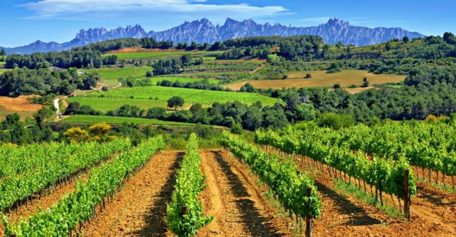 Barcelona: Montserrtat Hike and Winery Tour with Tasting - Scenic Hike with Natural Viewpoints