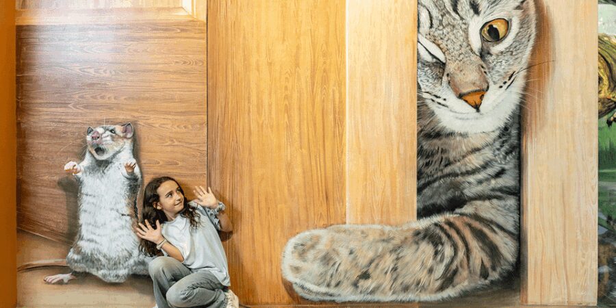 Barcelona: Museum of Illusions Interactive & Fun Experience - Opening Hours and Holiday Schedule