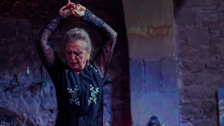 Barcelona: Old Town Artistic Tour & Flamenco Show - Exploring El Raval’s Colorful Streets and Artistic Vibe