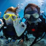 Barcelona: PADI Discover Scuba Diving - What Marine Life Can You Expect to See?