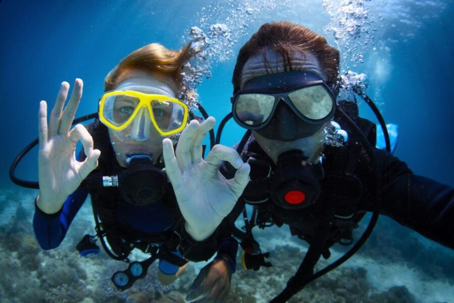 Barcelona: PADI Discover Scuba Diving - What Marine Life Can You Expect to See?