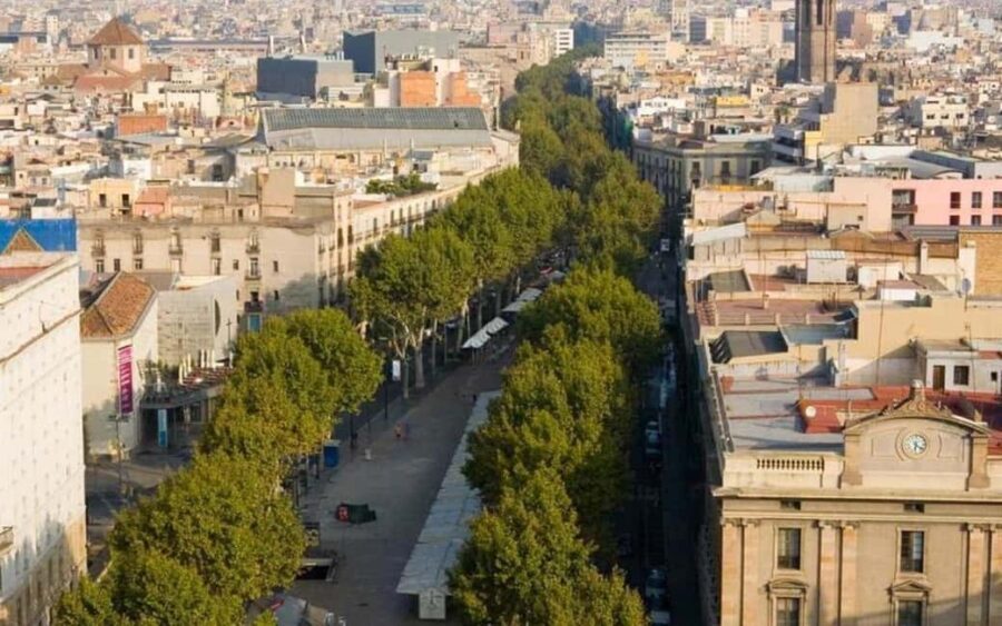 Barcelona: Private 2-Hour Best of Barcelona In-city Tour - The Convenience of Private Transportation in Barcelona