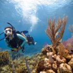 BARCELONA: SCUBA DIVING INITIATION - Dive in and experience underwater adventures - 2 hours - The Dive Center by the Sea in Barcelona’s Olympic Port