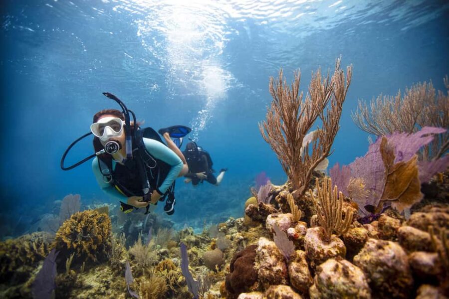 BARCELONA: SCUBA DIVING INITIATION - Dive in and experience underwater adventures - 2 hours - The Dive Center by the Sea in Barcelona’s Olympic Port