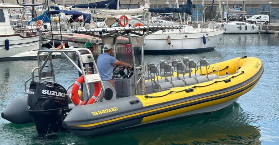 Barcelona: Speed boat skyline view - The Scenic Coastal Cruise from Port Olímpic