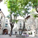 Barcelona: Tapas & Picasso Museum Guided Walking Tour - Discovering the Picasso Museum in Barcelona’s Born District