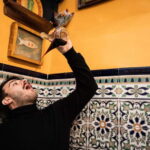 Barcelona: The Ultimate Local Tapas & Drinks Food Tour - Exploring the Gothic Quarter’s Historic Eateries