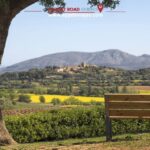 Barcelona: Tour Private Besalu, Dalí & Wine Tasting - Exploring the Surreal World at the Dalí Theatre-Museum in Figueres