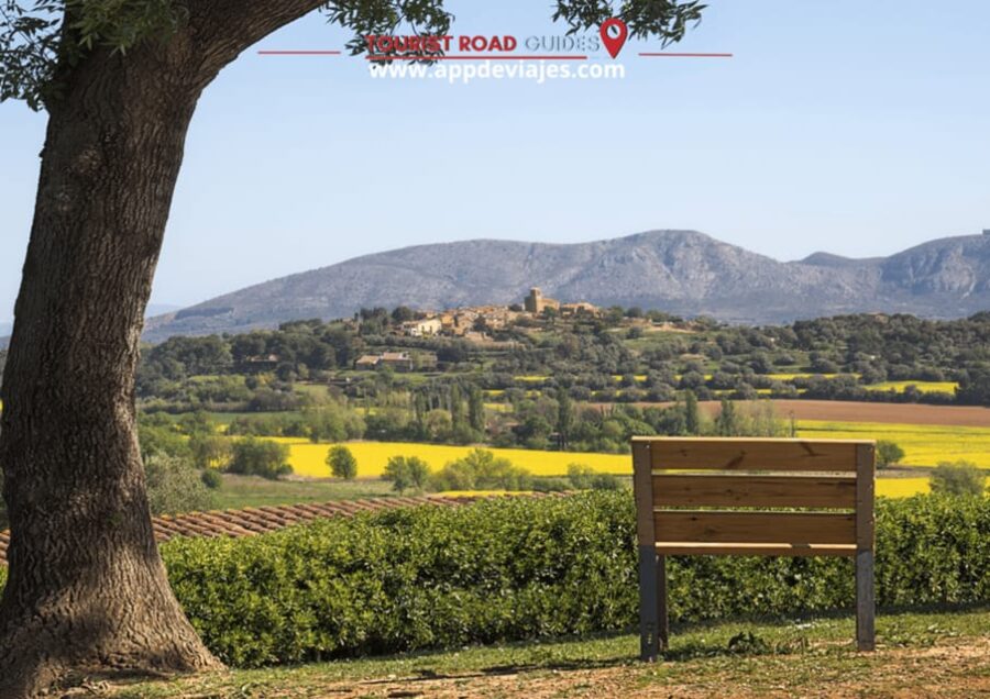 Barcelona: Tour Private Besalu, Dalí & Wine Tasting - Exploring the Surreal World at the Dalí Theatre-Museum in Figueres