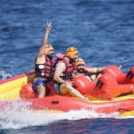 Barcelona: Water bull Experience - How the WaterBull Comes to Life in Barcelona