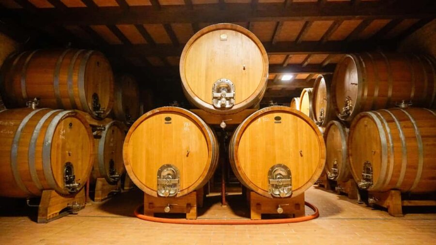 Bardolino: Tour and Tasting at Cantina Lenotti - Exploring the Historic Santa Cristina Vineyard