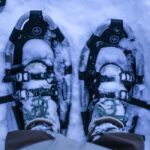 Bardufoss: Snowshoeing and Northern Lights Adventure - The Perfect Spot for Northern Lights Viewing