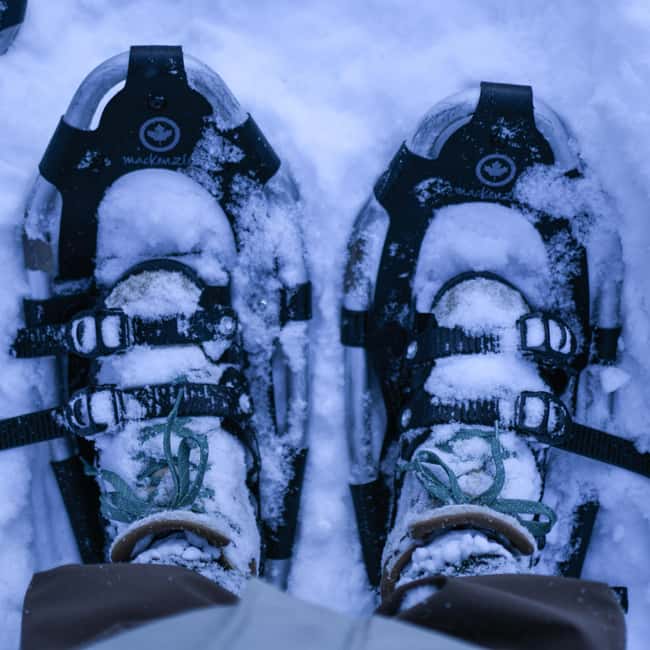 Bardufoss: Snowshoeing and Northern Lights Adventure - The Perfect Spot for Northern Lights Viewing