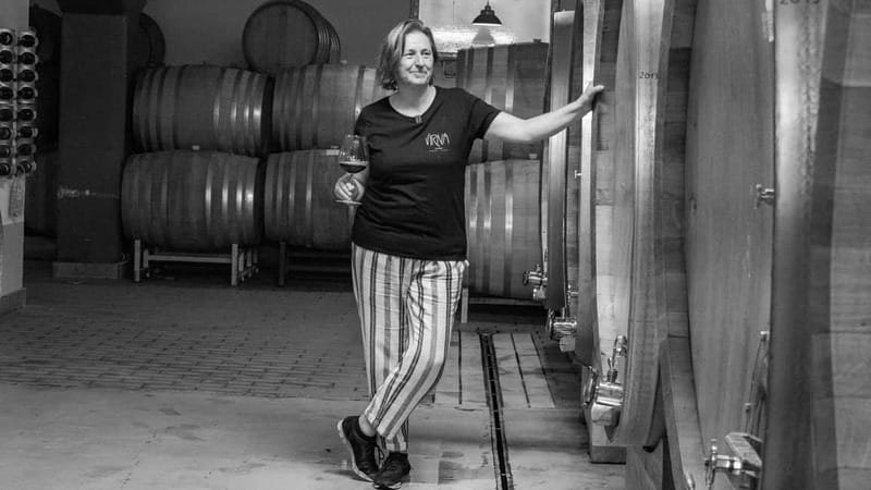 BAROLO: GUIDED VISIT TO THE WINERY AND TASTING WITH THE PRODUCER - Tasting Four Unique Barolos in a Brick-Vaulted Room