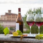 Barolo wine Tasting, Alba, UNESCO Castle: Small Group from Milan - Visiting the Family-Run Winery for Wine Tastings