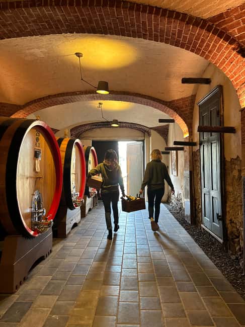 Barolo: Wine Tasting in the Heart of Cannubi - Meeting Point and Arrival Logistics