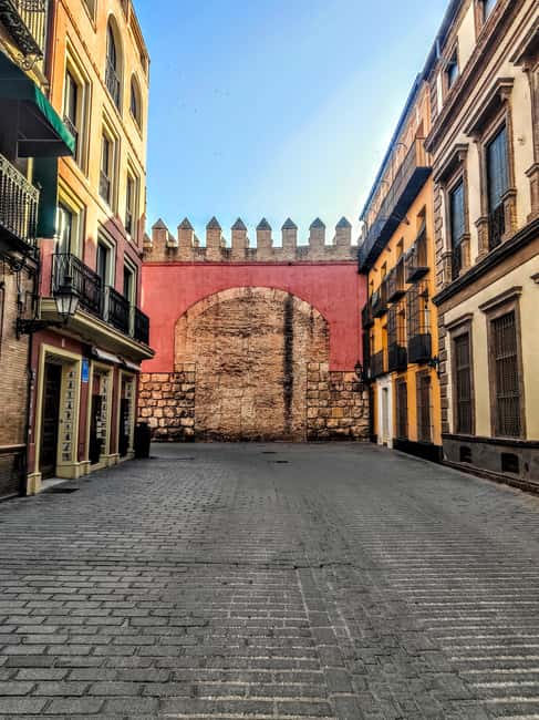 Barrio de Santa Cruz: a private walking tour through Seville's old Jewish quarter. - Exploring Plaza del Triunfo and Its Surroundings