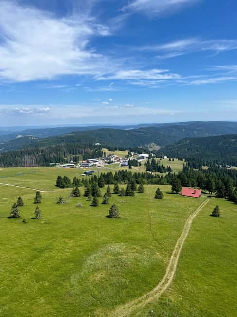 Basel: Black Forest, Waterfall &Mountain, Lakes Private Tour - Starting in Basel: Private Transport to Germany’s Scenic Black Forest