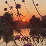 Basel: Fancy a bike tour through 3 countries in 60 minutes? - Starting Point in Basel: St. Johann Park