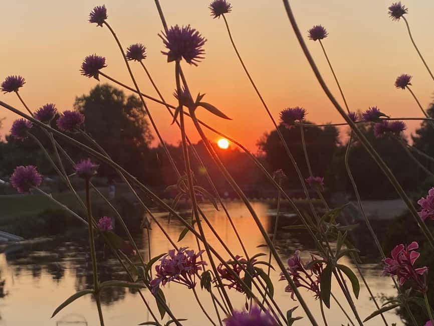 Basel: Fancy a bike tour through 3 countries in 60 minutes? - Starting Point in Basel: St. Johann Park