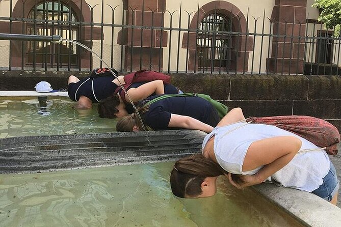 Basel Foxtrail Yellow - The Trail’s Highlights and Unique Stops