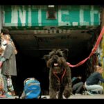 Basel: Graffiti & Urban Art Workshop with Snacks & Drinks - Frequently Asked Questions